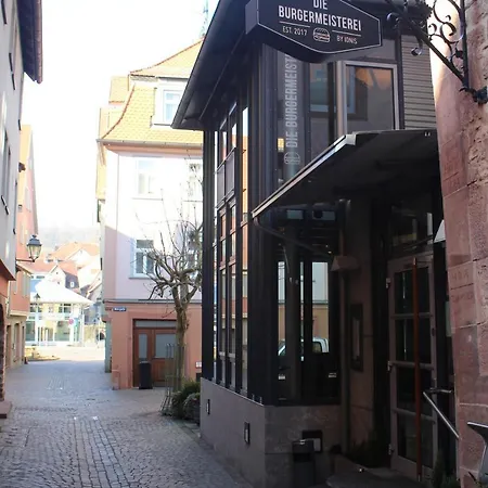 Отель Altstadt Baunachshof 3*